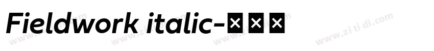 Fieldwork italic字体转换